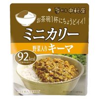 新宿中村屋 ミニカリー 野菜入りキーマ 1人前・90g 1セット（1個×3）レトルトカレー