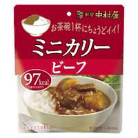 新宿中村屋 ミニカリー ビーフ 1人前・100g 1セット（1個×2）レトルト