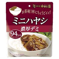 新宿中村屋 ミニハヤシ 濃厚デミ 1人前・100g 1セット（1個×3）レトルト