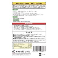 允・セサミ 技職人魂シリーズ 万能職人濃縮替ボトル 1L 1個