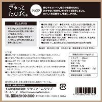 ぎゅっとたんぱくショコラ 1個 不二製油