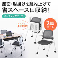 サンワサプライ 平行スタッキングミーティングチェア 幅595×奥行585×高さ840mm グレー SNC-ST10GY 1セット(2脚入)（直送品）