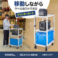 サンワサプライ 作業用プリンタカート 幅450×奥行600×高さ800～1000mm ホワイト RAC-FA6 1個（直送品）