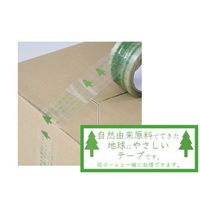 ミライFRIEND 生分解梱包テープ 0.05mm厚 幅49mm×長さ50m BPT-505 山善 1セット（5巻：1巻×5）