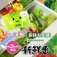 野菜長持ち 新鮮番 野菜室に置くだけ 野菜用 鮮度保持剤 1個 エステー