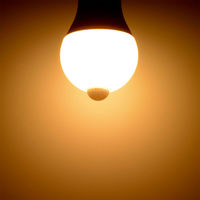 オーム電機 LEDセンサー E26 4.7W 電球色 06-5587 1個