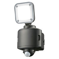 オーム電機 防犯センサーライトB40W1 07-8805 1個