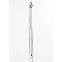 エスコ 500kgx5.0m チェーンブロック EA987AA-25A 1台（直送品）