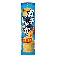 ガチじゃがうま塩味 100g 1セット（1個×6） ブルボン ポテトチップス スナック おつまみ