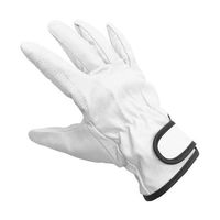 小野商事 豚クレスト マジックテープ アテ付 Lサイズ AG523-L 1双 65-0307-21（直送品）