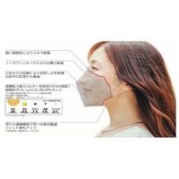 ピエラス 自慢のマスク 5枚×40箱入 65-3719-55 1ケース(200枚)（直送品）