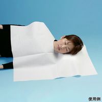 イワツキ サライバリー エプロン R 65×80cm 4折 30枚入 004-42243 1袋(30枚) 65-8114-15（直送品）