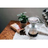 HARIO (ハリオ) V60 透過 コーヒードリッパー 1~4杯用 磁器製 VDCR-02-W 1個