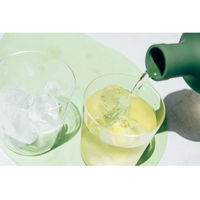 HARIO (ハリオ) 耐熱 ロックグラス 300ml RG-300 1個