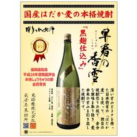 はだか麦焼酎 黒麹仕込 早春乃香雪 25度 1.8L 瓶 1本 光酒造