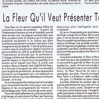 東京リボン バッグ OPバッグジャーナル 62207 S #21 チャコール 4935728600132 1セット(50枚/袋×30袋)（直送品）