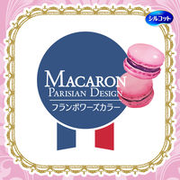 ウェットティッシュ アルコール除菌 シルコット99.99％除菌 マカロン企画 本体 40枚入 1個 ユニチャーム