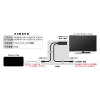 カシムラ HDMI変換ケーブル iPhone専用 USB-C中継 KD-265 1本
