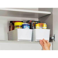 サナダ精工 アレンジ引き出しバスケット スリム ホワイト D5927-W 1個