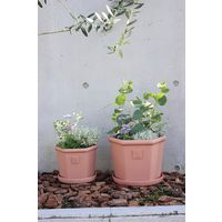 八幡化成 エコポット 六角型 280 素焼き調UG 213659 1個