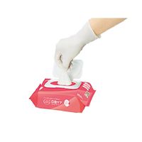 【口腔ケアウェットシート】 オラケア 口腔ケアウェットシート ピロー型 42444 1パック（100枚入）