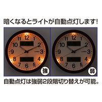 ディーエーピーネットワーク 温湿度計付き多機能掛け時計 a29148 1個