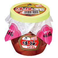 味梅 梅干し 100g 1セット（1個×2）新進 漬物