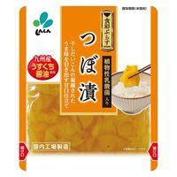 つぼ漬 九州産うすくち醤油使用 80g 1セット（1個×2）新進 だいこん 漬物