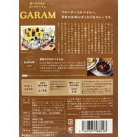 ガラム 職人仕込みのポークビンダル 中辛 1人前・180g 1個 キヨトク レトルト 北野エース