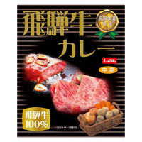 飛騨牛カレー 飛騨牛100％ 中辛 1人前・250g 1セット（1個×2）覇楼館 レトルト 北野エース