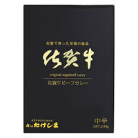 佐賀牛ビーフカレー 中辛 200g 1セット（1個×2）肉はたけしま レトルト 北野エース