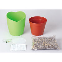 聖新陶芸 聖新 みつかる四葉クローバー栽培セット GD-592 1箱