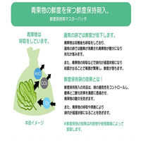 ハウスホールドジャパン 鮮度保持袋 M 50枚入●30個セット 4580287323048 1セット(30個入)（直送品）