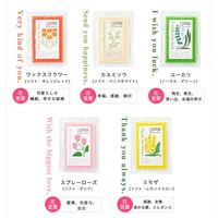 サンサンスポンジ ハピネス 4色セット 台所用 食器洗い 丈夫で長持ち キッチンスポンジ 日本製 1個