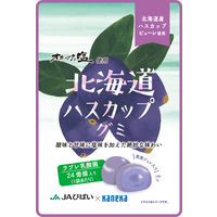 北海道ハスカップグミラブレ乳酸菌入 グミ ご当地 1セット（1個×4） カネカ食品