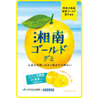 湘南ゴールドグミ ラブレ乳酸菌入 グミ ご当地 1セット（1個×4） カネカ食品