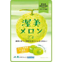 渥美メロングミラブレ乳酸菌入 グミ ご当地 1セット（1個×4） カネカ食品