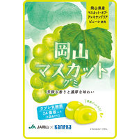岡山マスカットグミラブレ乳酸菌入 グミ ご当地 1セット（1個×4） カネカ食品