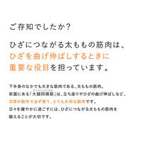 【本体のみ】MTG SIXPAD Knee Fit M SEーAYー00BーM（わけあり品）