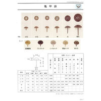 山喜産業 錺技研 亀甲鋲　中　鉄　墨入れ　13×19mm　1箱（500本入）（直送品）