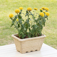 【園芸用品】 アスクルカタログリサイクルFlowerpot 5.0L（プランター）1個 オリジナル