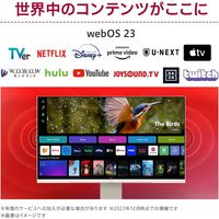 LG Electronics Japan  31.5インチ4Kスマートモニター(3840x2160/IPS) 32SR83U-W（直送品）