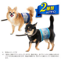 マナーウェア 男の子用 SSSサイズ 超小型犬用 24枚 ペット用 1袋 ユニ・チャーム