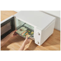 ツインバード フラット電子レンジ DR-E268W 1台（直送品）