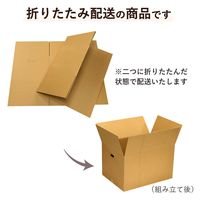 トッパン・コスモ 140サイズダンボール 手穴 5枚セット 53×38×33cm FD04B-0005-SK 1セット(5枚)（直送品）