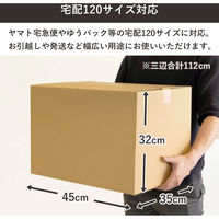トッパン・コスモ 120サイズダンボール 5枚セット 45×35×32cm FD05-0005-SK 1セット(5枚)（直送品）