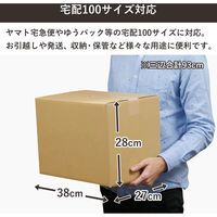 トッパン・コスモ 100サイズダンボール 100枚セット 38×27×28cm FD06-0100-SK 1セット(100枚)（直送品）