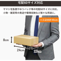 トッパン・コスモ 60サイズダンボール 10枚セット 24×17×8cm FD09-0010-SK 1セット(10枚)（直送品）