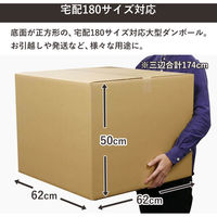 トッパン・コスモ 180サイズダンボール 10枚セット 62×62×50cm FD18-0010-SK 1セット(10枚)（直送品）