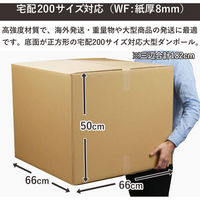 トッパン・コスモ 190サイズダンボール 3枚セット 66×66×50cm FD19-0003-SK 1セット(3枚)（直送品）